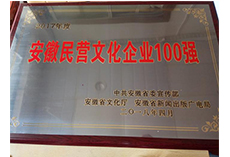 2017年度全省民營文化100強