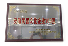 2015年度全省民營文化100強(qiáng)